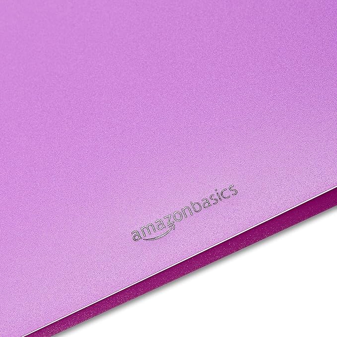 Amazon Basics Plastic 3-Hole Punch File Folders with 2 Pockets for Documents, Letter Size 8.5 x 11 inches, Assorted Colors, Pack of 6